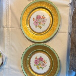 Vintage Floral Gold and Green 2 Dinner Plates